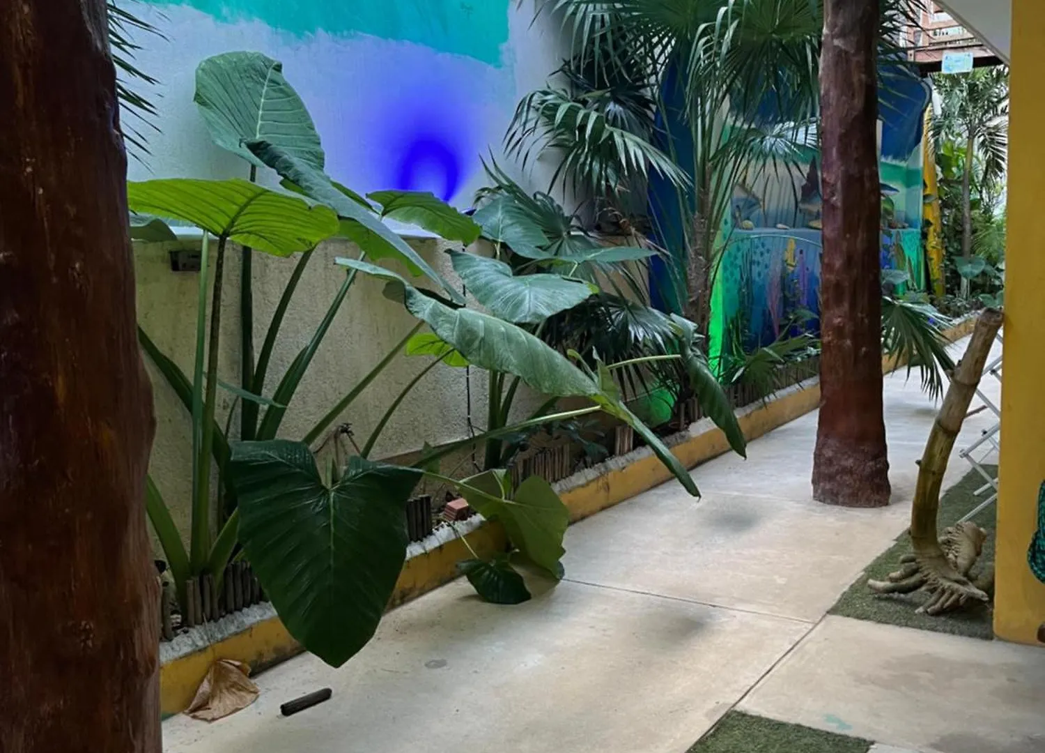 Casa Velero פוארטו מורלוס 0*,